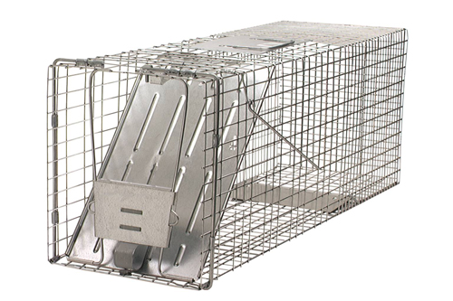 Rodent and Wildlife Control