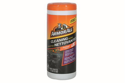 Vehicle Interior Care and Detailing
